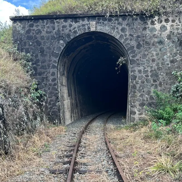 Entrada de un túnel de piedra en la vía férrea