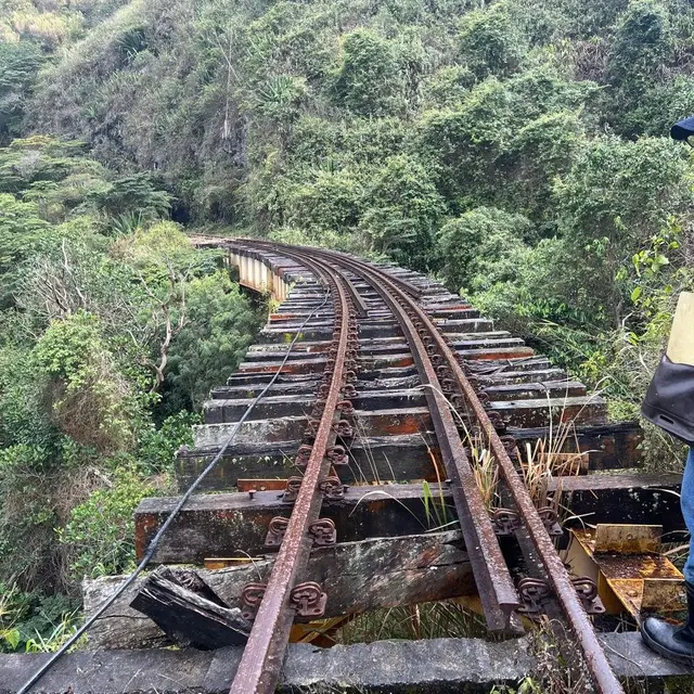 Vía sobre un puente con traviesas de madera deterioradas, en medio de la vegetación